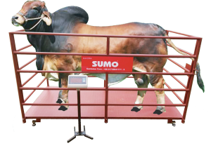 Animal Scale 500 Kg to 3000 Kg