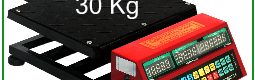 Bench Scale 30 Kg