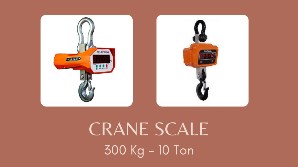 Crane Scale